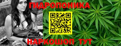 стаф Ипатово