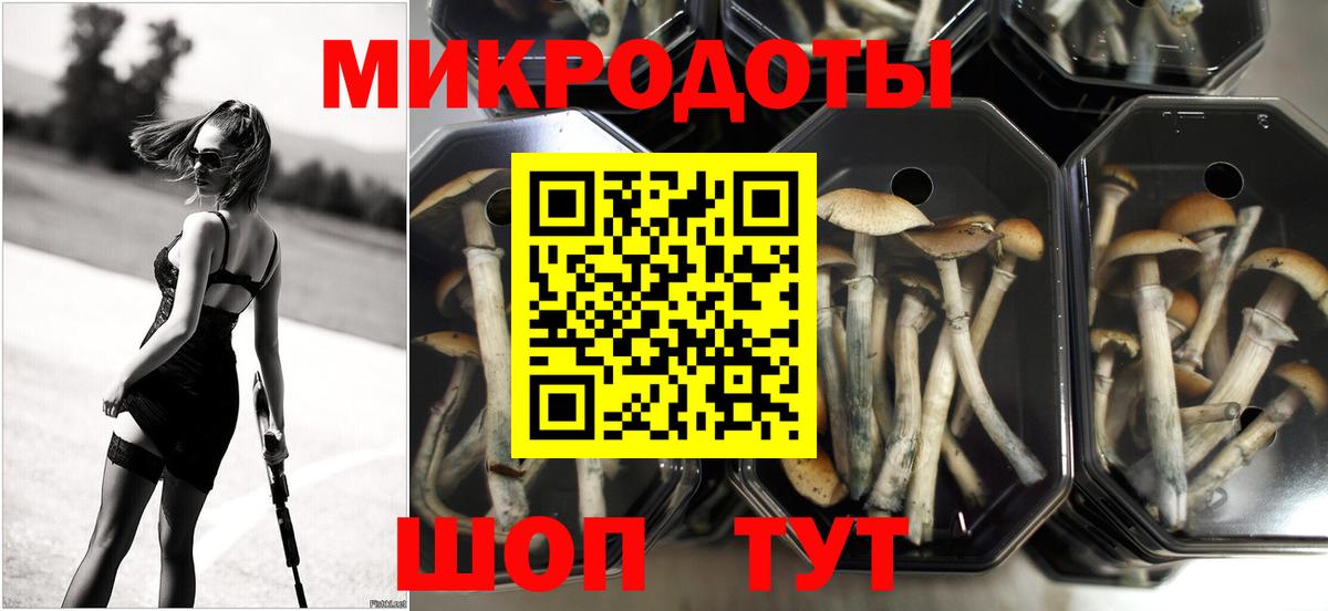 Копейск  Галлюциногенные грибы мицелий  Вход с VPN 
